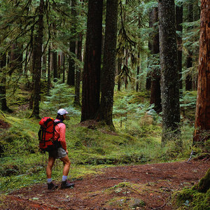 Hiking in Sol Duc River Valley
