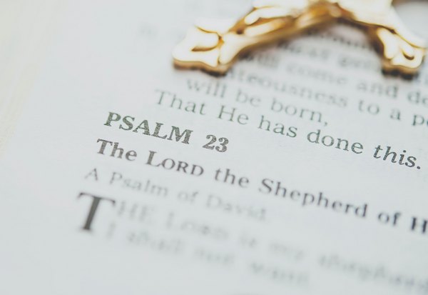 Bible Quote