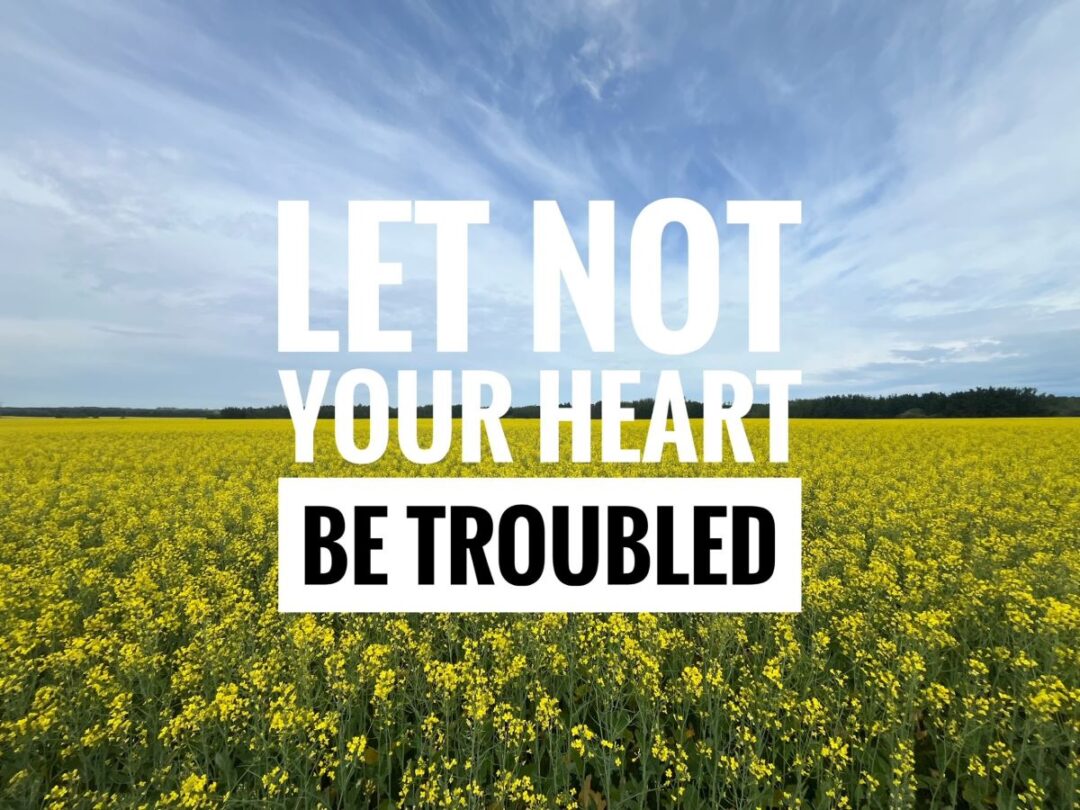 Hit Let Heart Let Not Your Heart Be Troubled - Scriptural Nuggets