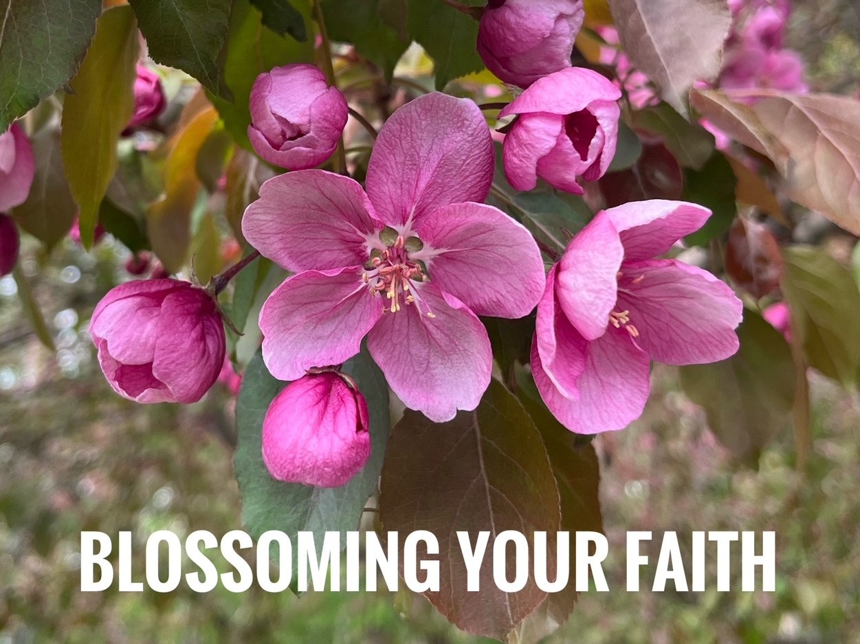 Blossoming Your Faith SM