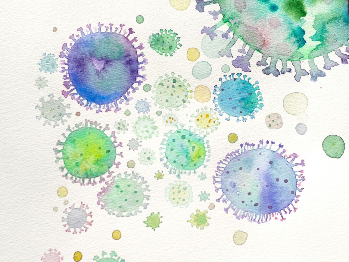 Virus SM