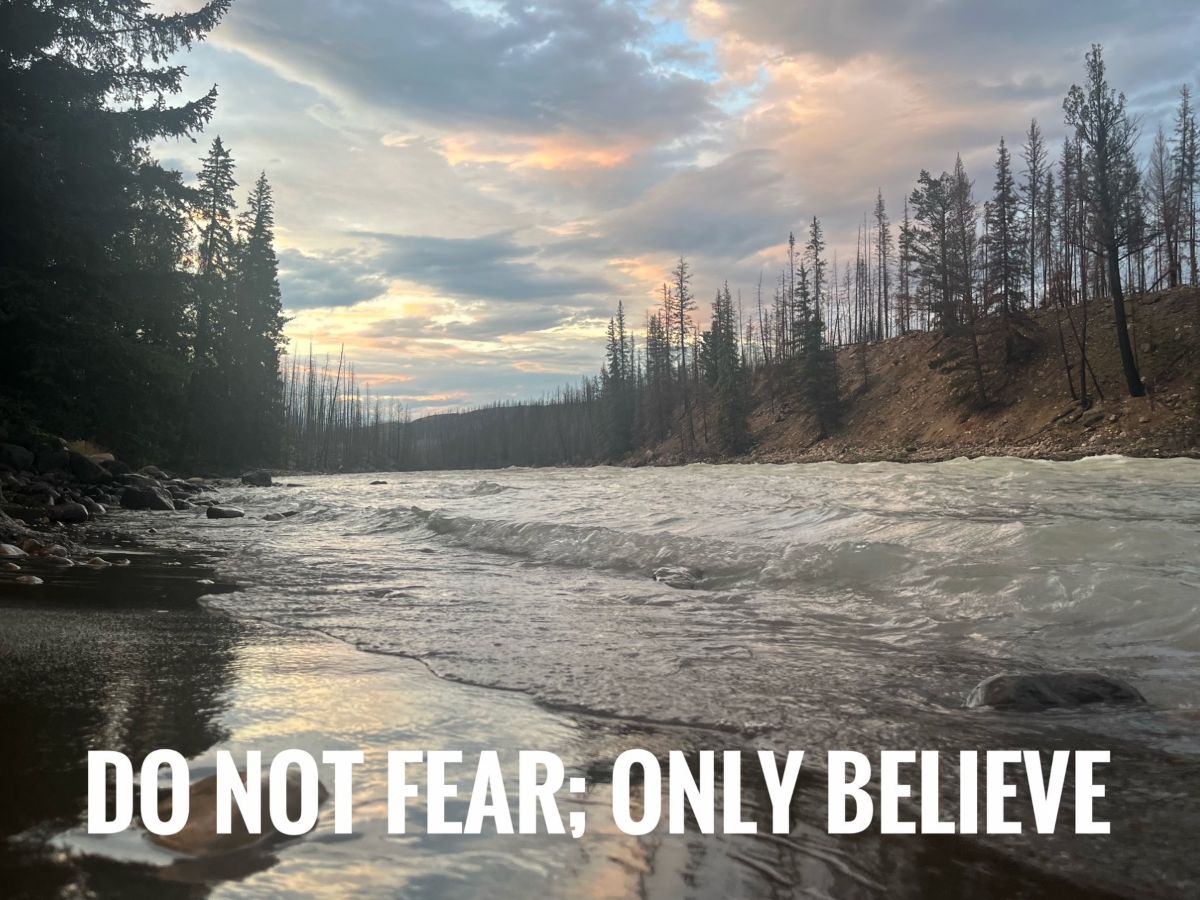 No Fear SM