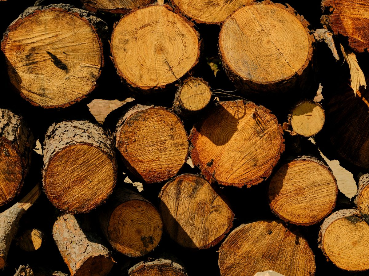 Timber SM